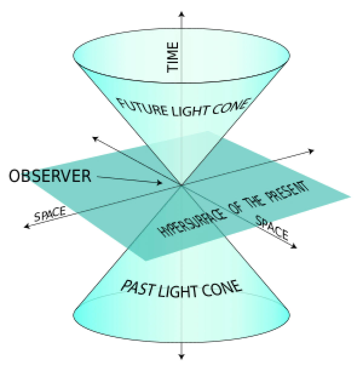 (b) Light cone **[13]**