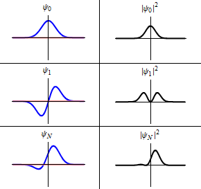 Fig. 3. Quantum states over time (red and blue are the real and imaginary values of the state) and the probability distribution (black). Adapted from **[8]**