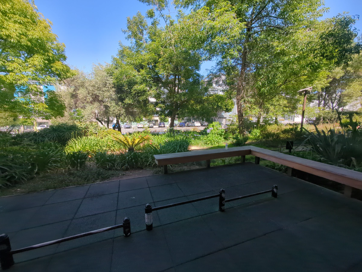 The surrounding park